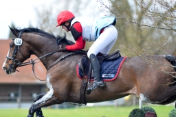 radolfzell-2015_cic1-154-jpg