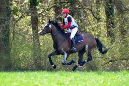 radolfzell-2015_cic1-155-jpg