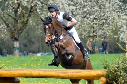 radolfzell-2015_cic1-156-jpg