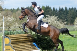 radolfzell-2015_cic1-159-jpg