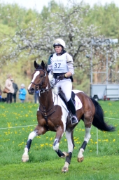 radolfzell-2015_cic1-162-jpg