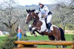 radolfzell-2015_cic1-163-jpg
