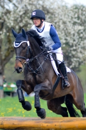 radolfzell-2015_cic1-165-jpg