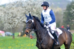 radolfzell-2015_cic1-166-jpg