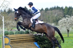 radolfzell-2015_cic1-167-jpg