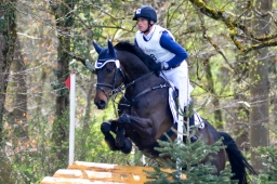 radolfzell-2015_cic1-169-jpg