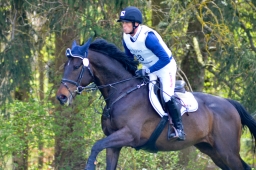 radolfzell-2015_cic1-171-jpg