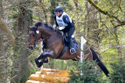 radolfzell-2015_cic1-174-jpg