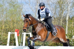 radolfzell-2015_cic1-175-jpg