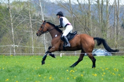 radolfzell-2015_cic1-177-jpg