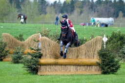 radolfzell-2015_cic1-179-jpg