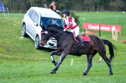 radolfzell-2015_cic1-180-jpg