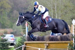 radolfzell-2015_cic1-183-jpg