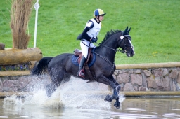 radolfzell-2015_cic1-185-jpg