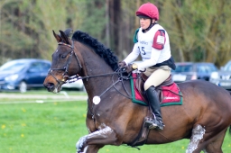 radolfzell-2015_cic1-188-jpg