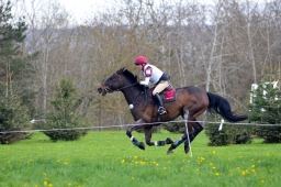 radolfzell-2015_cic1-191-jpg
