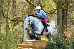 radolfzell-2015_cic1-194-jpg