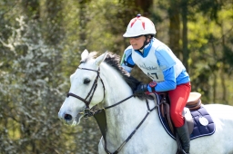 radolfzell-2015_cic1-195-jpg