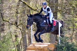 radolfzell-2015_cic1-197-jpg