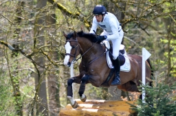 radolfzell-2015_cic1-201-jpg