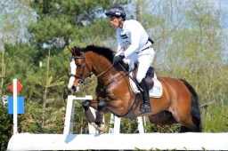 radolfzell-2015_cic1-203-jpg