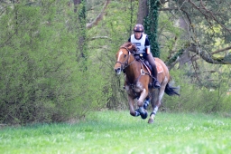 radolfzell-2015_cic1-204-jpg