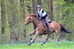 radolfzell-2015_cic1-205-jpg