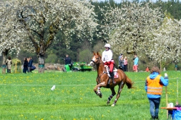 radolfzell-2015_cic1-206-jpg