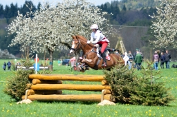 radolfzell-2015_cic1-207-jpg
