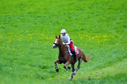 radolfzell-2015_cic1-210-jpg