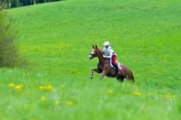 radolfzell-2015_cic1-211-jpg