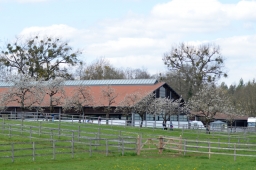 radolfzell-2015_cic1-217-jpg