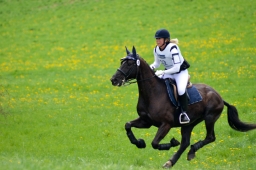 radolfzell-2015_cic1-218-jpg