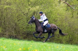 radolfzell-2015_cic1-219-jpg