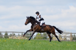 radolfzell-2015_cic1-220-jpg