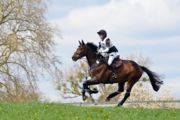 radolfzell-2015_cic1-221-jpg
