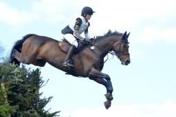 radolfzell-2015_cic1-222-jpg