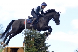 radolfzell-2015_cic1-225-jpg
