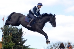 radolfzell-2015_cic1-226-jpg