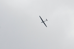 radolfzell-2015_cic1-228-jpg