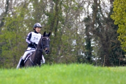 radolfzell-2015_cic1-229-jpg