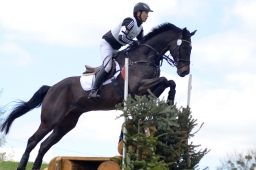 radolfzell-2015_cic1-230-jpg