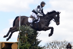 radolfzell-2015_cic1-231-jpg