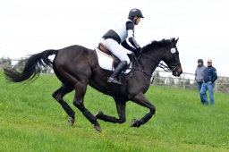 radolfzell-2015_cic1-232-jpg