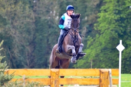 radolfzell-2015_cic1-234-jpg