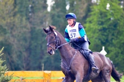 radolfzell-2015_cic1-235-jpg