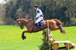 radolfzell-2015_cic1-238-jpg