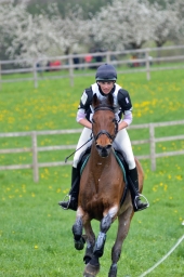 radolfzell-2015_cic1-239-jpg