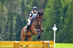 radolfzell-2015_cic1-241-jpg