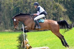 radolfzell-2015_cic1-242-jpg